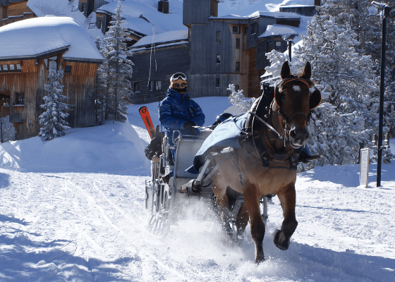 traîneau Avoriaz